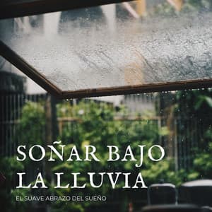Soñar Bajo La Lluvia: El Suave Abrazo Del Sueño - Hotday y el equipo de ensueño