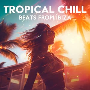 Tropical Chill Beats from Ibiza - Party Pulse DJ Ensemble