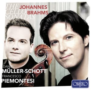Brahms: Sonatas Opp. 38, 78 & 99 - Johannes Brahms
