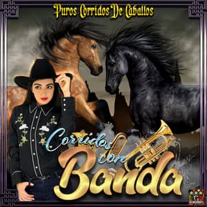 Puros Corridos De Caballos - Corridos Con Banda