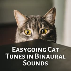 Easygoing Cat Tunes in Binaural Sounds - Binaural Moods