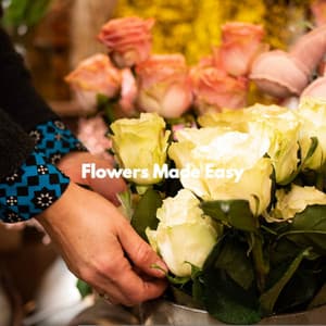 Flowers Made Easy - Cena Musica Ambiente