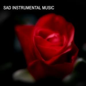 Sad Instrumental Music - Instrumental Music Songs - Instrumental Music Academy