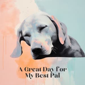A Great Day for My Best Pal - Dog Music Jukebox