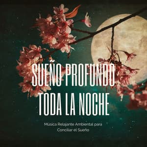Sueño Profundo Toda la Noche: Música Relajante Ambiental para Conciliar el Sueño - Cama Mejor