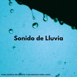 Sonido De Lluvia: Pura Música Relajante Y Encantada Para Yoga - Lluvia de yoga