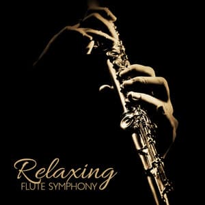 Relaxing Flute Symphony - Wild Thomas