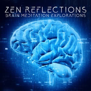 Zen Reflections: Brain Meditation Explorations - Nikola Code