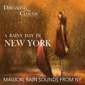 A Rainy Day in New York - Magic Rain Sounds From NY - Dreaming In The Clouds