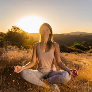 Lofi Armónico: Sesiones De Meditación - Trueno etc