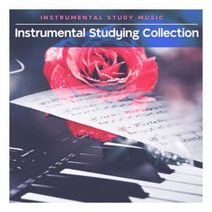 Instrumental Studying Collection - Instrumental Study Music