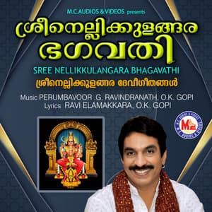Sree Nellikkulangara Bhagavathi - Unni Menon