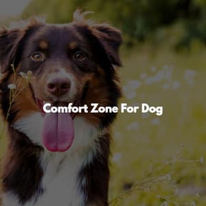 Comfort Zone For Dog - Calm Work from Home