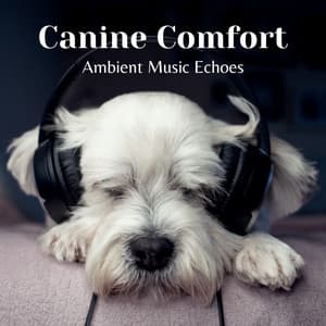 Canine Comfort: Ambient Music Echoes - Music for Calming Dogs