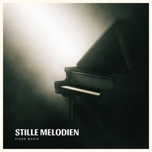 Stille Melodien: Beruhigende Klaviermusik - Piano Musik
