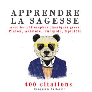 Apprendre la sagesse avec les philosophes classiques grecs 400 citations - Platon