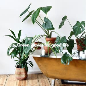 Green leaves for good life - Weekend Jazz Chill