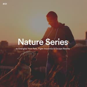 #01 Nature Series to Energize Your Pets, Fight Insomnia & Escape Reality - The Nature Soundscapes
