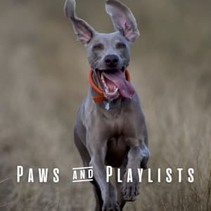 Paws & Playlists: Music for Happy Dogs - Source Vibrations