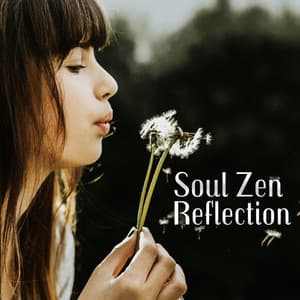 Soul Zen Reflection: The Moment of Clarity and Wisdom - Body Soul Music Zone
