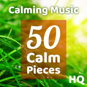Calming Music 50 Calm Pieces - Calming Music