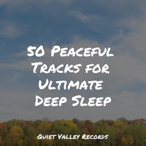 50 Peaceful Tracks for Ultimate Deep Sleep - The Sleep Principle