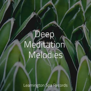 Deep Meditation Melodies - Dr. Meditation