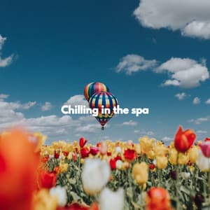 Chilling in the spa - Soft Cafe Lounge