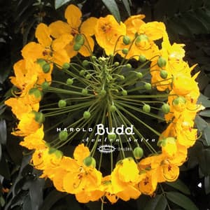 Avalon Sutra - Harold Budd