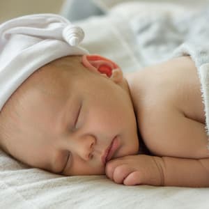 Tender Binaural Harmonies: Birdsong Melodies for Gentle Baby Lullabies - Birds In The Morning