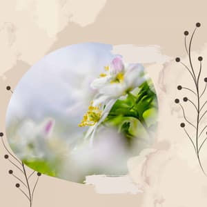 Caring - Spa Days at Home - Music For Deep Sleep