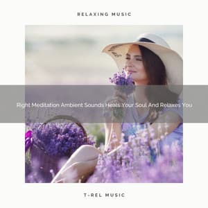 Right Meditation Ambient Sounds Heals Your Soul And Relaxes You - Timeless Relax