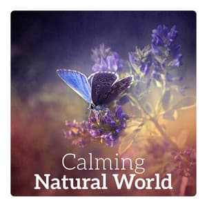 Calming Natural World – Calmness, Restful Break, Relaxing Time, Serene Moments, Happiness & Stress Relief - Feeling Good Club