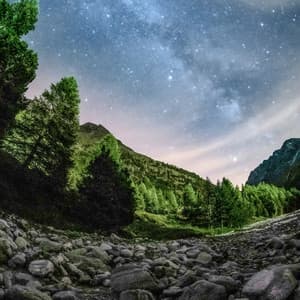 1st Melodic Noise Machine: In The Wild - White Noise Therapy