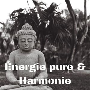 Énergie pure & Harmonie: Zen méditation ambiance - Musique pour Détendre en Temps Libre
