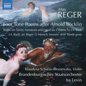 Reger: Orchestral Works - Max Reger