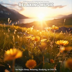 #01 Relaxing Music for Night Sleep, Relaxing, Studying, to Chill To - Relaxing Music for Cats