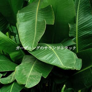 ガーデニングのサウンドトラック - Relaxing Morning Jazz Playlist