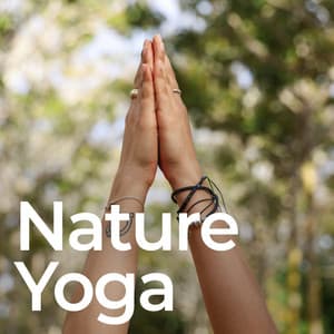 Nature Yoga - Yoga Stretching