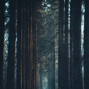 Pink Soothing Sound - Sleepy Sounds