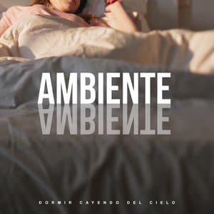 Ambiente Ambiente - Dormir Cayendo Del Cielo