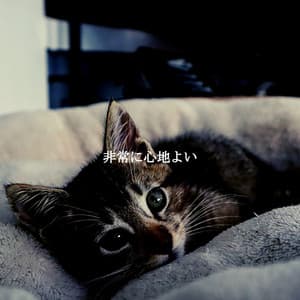 非常に心地よい - Jazz para Estudiar