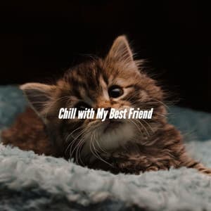 Chill with My Best Friend - Brazilian Jazz Lounge