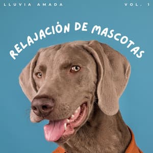Relajación De Mascotas: Lluvia Amada Vol. 1 - Frutas de lluvia