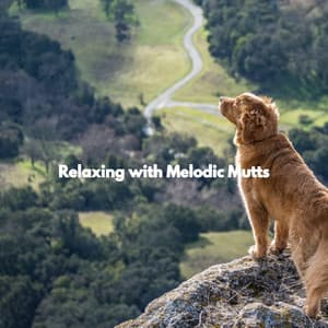 Relaxing with Melodic Mutts - Doggy Music Radio