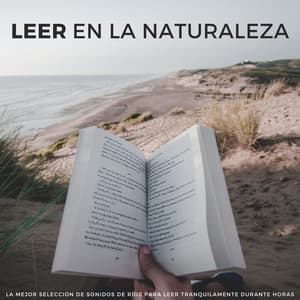 Leer En La Naturaleza: La Mejor Selección De Sonidos De Ríos Para Leer Tranquilamente Durante Horas - Estudiar el Fondo