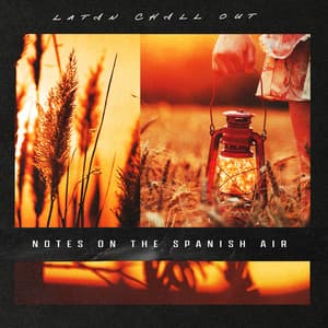 Notes on the Spanish Air - Latin Chill Out