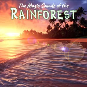 The Magic Sounds of the Rainforest - Calming Rainforest Sounds