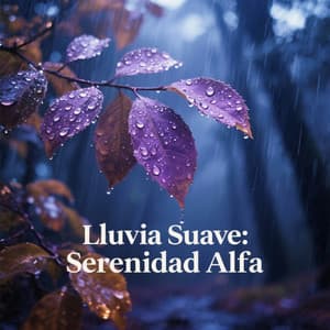 Lluvia Suave: Serenidad Alfa - Música de relajación profunda