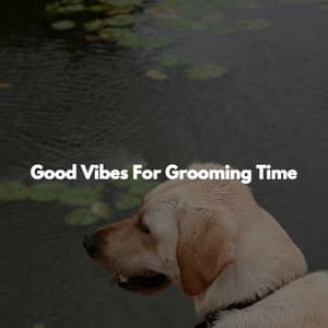 Good Vibes For Grooming Time - Dinner Party Music Chill Out